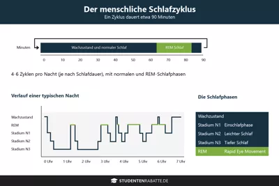Die menschlichen Schlafzyklen als Infografik